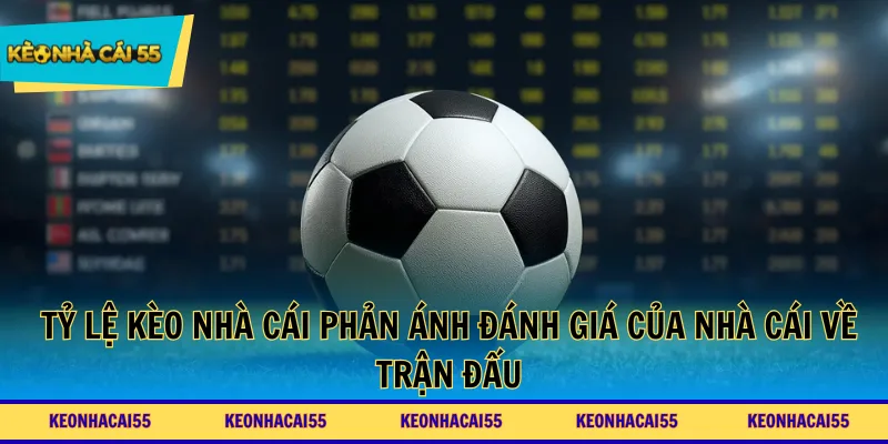 Tỷ lệ kèo nhà cái phản ánh đánh giá của nhà cái về trận đấu